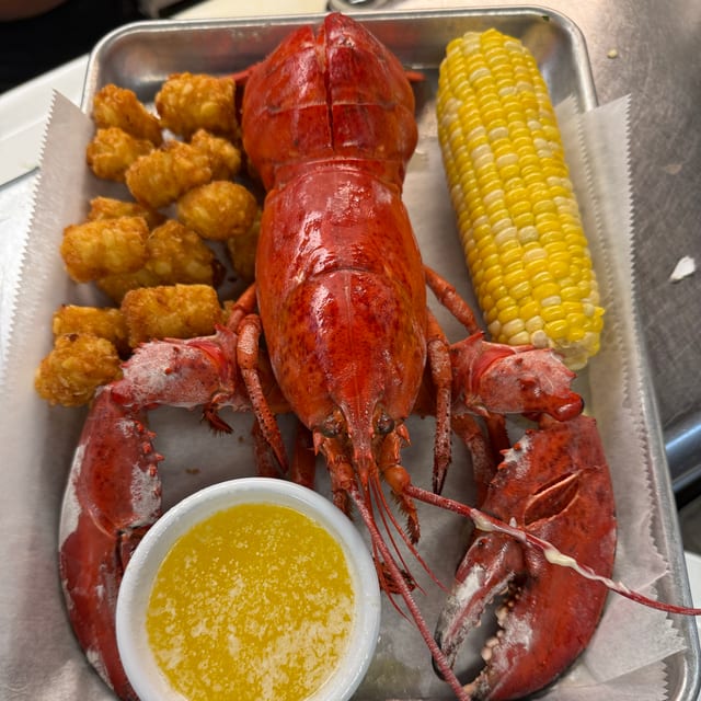 Steamed Maine Lobster